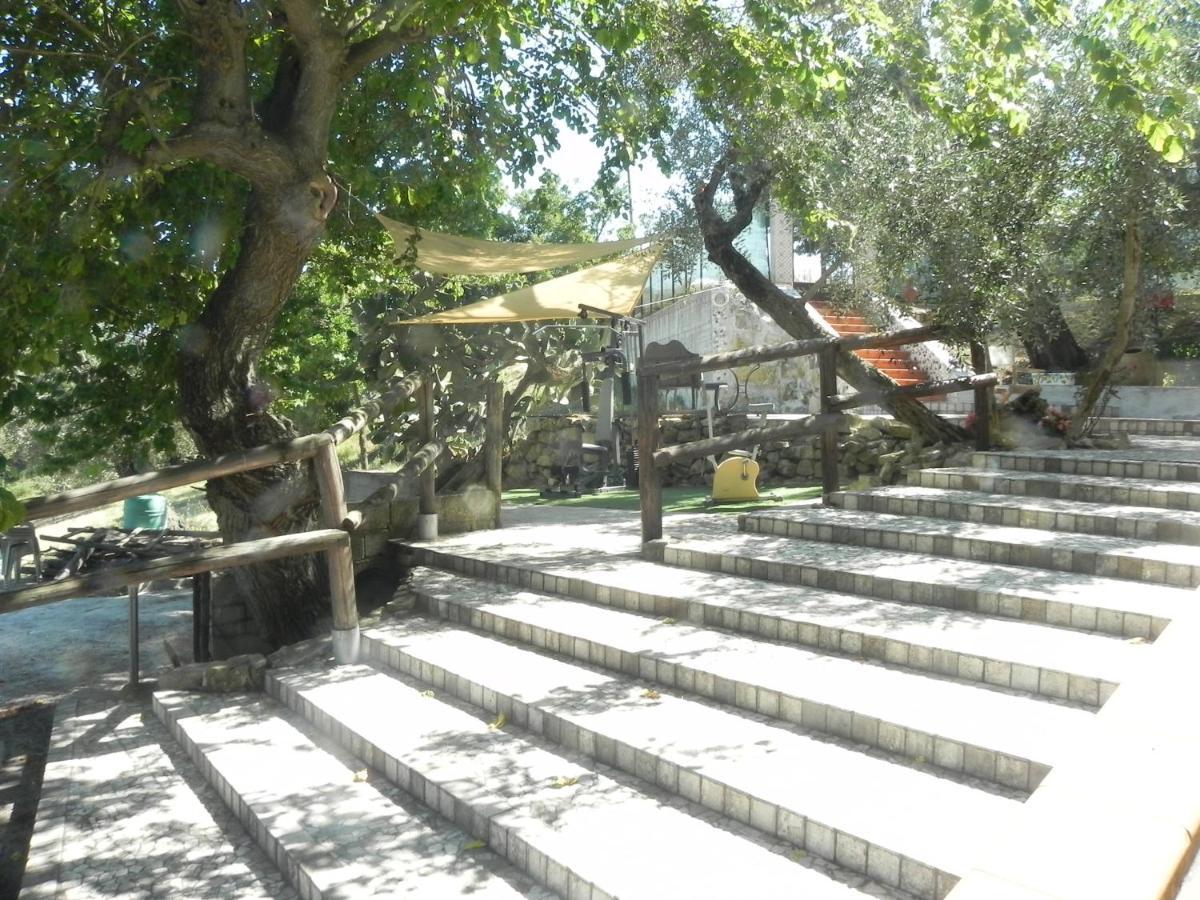 Agriturismo B&B Il Rifugio Di Nino Contursi Zewnętrze zdjęcie