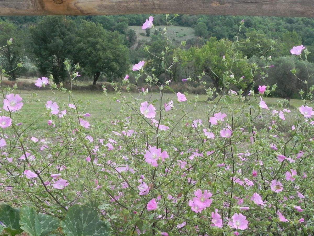 Agriturismo B&B Il Rifugio Di Nino Contursi Zewnętrze zdjęcie
