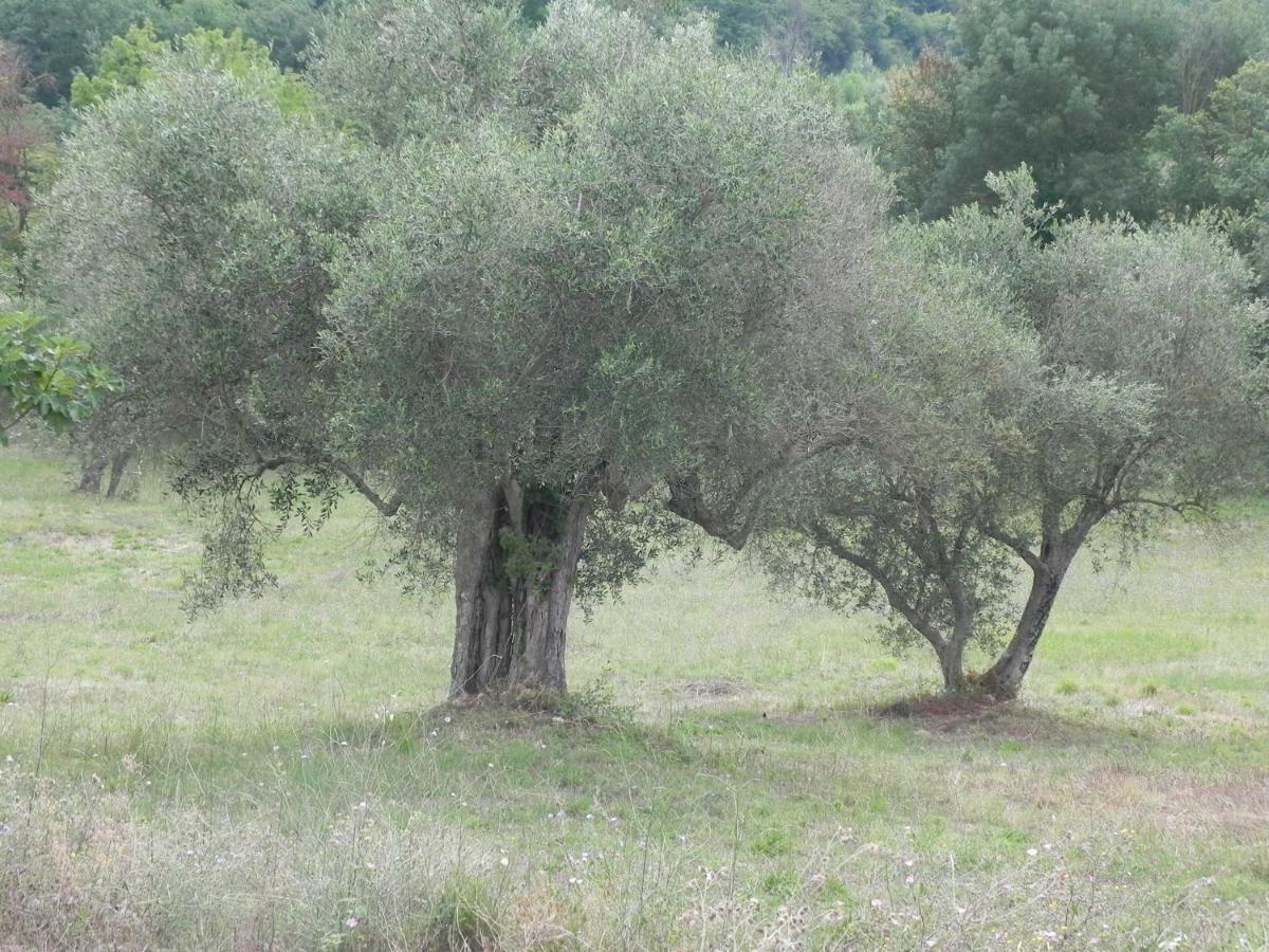 Agriturismo B&B Il Rifugio Di Nino Contursi Zewnętrze zdjęcie